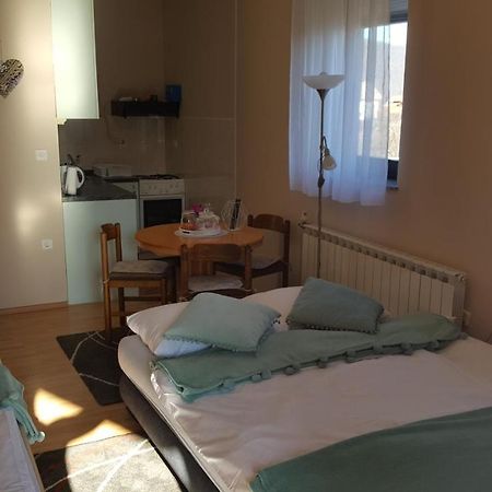 Studio Apartman Salopek Ogulin Eksteriør bilde