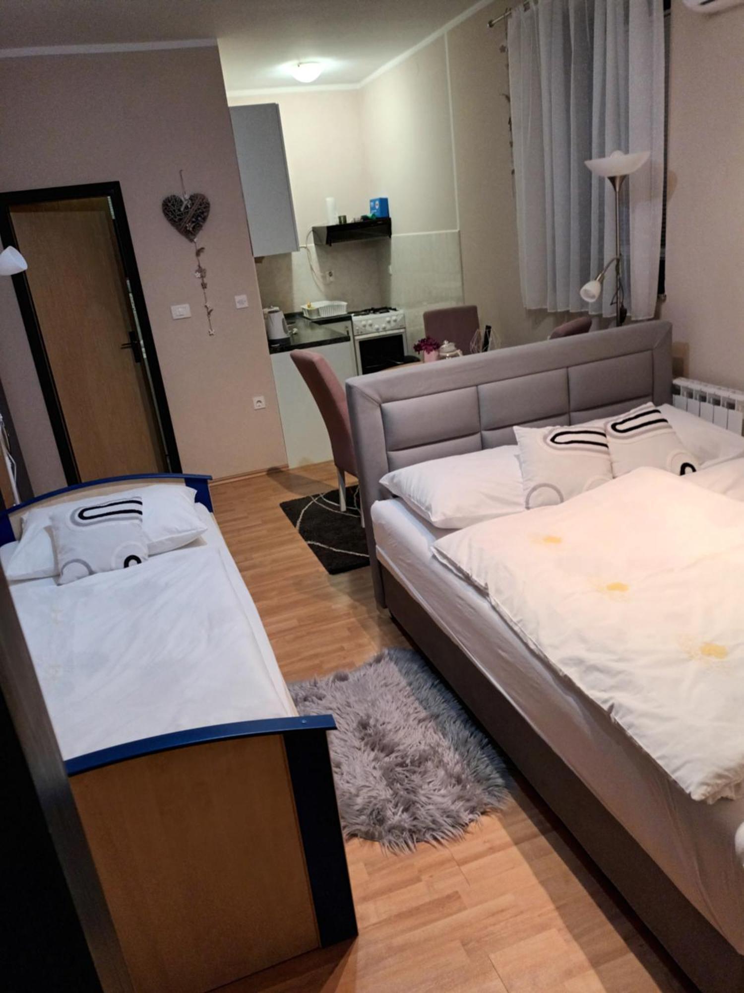 Studio Apartman Salopek Ogulin Eksteriør bilde